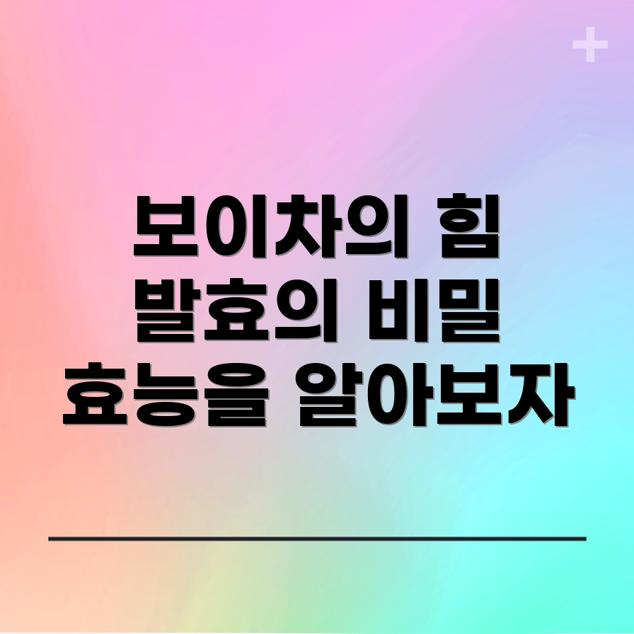 보이차 효능