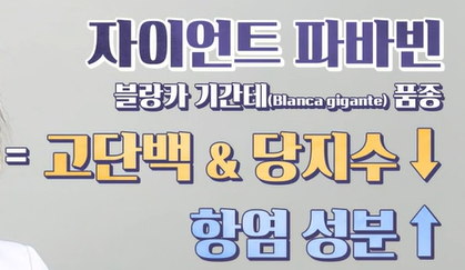 파바빈이란