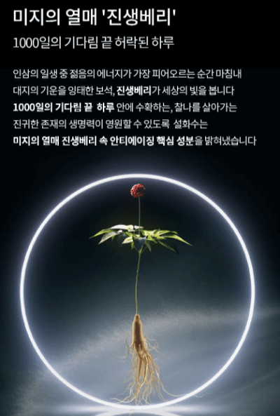 설화수 진설크림 설명사진1