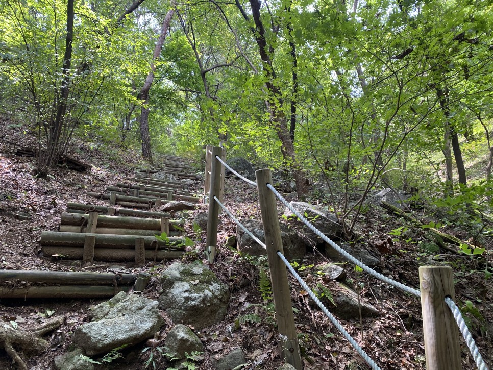 홍길동이 다녀간 30