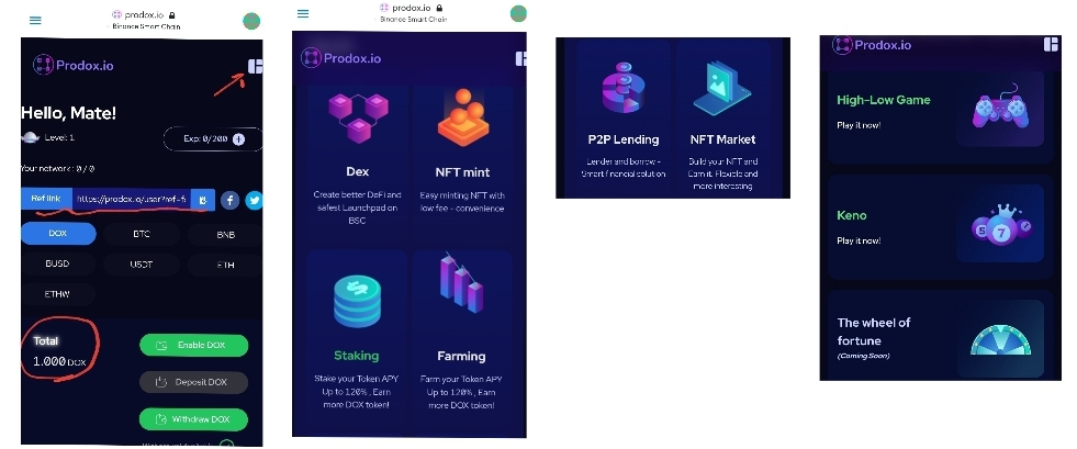  초극초기코인 11월 15일 출시 프로독스 코인(ProDOX Coin) Defi &  NFT Market place, P2P Lending, Farming & Staking(현재유저 300명)