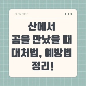 산에서 곰을 만났을 때 대처법, 만나지 않는 예방법 정리 블로그 포스팅 섬네일