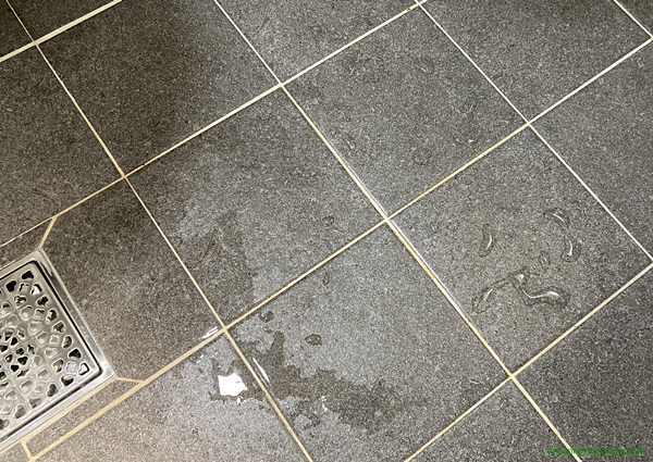 욕실(화장실) 바닥 물기 청소 - 스퀴지 사용 전
