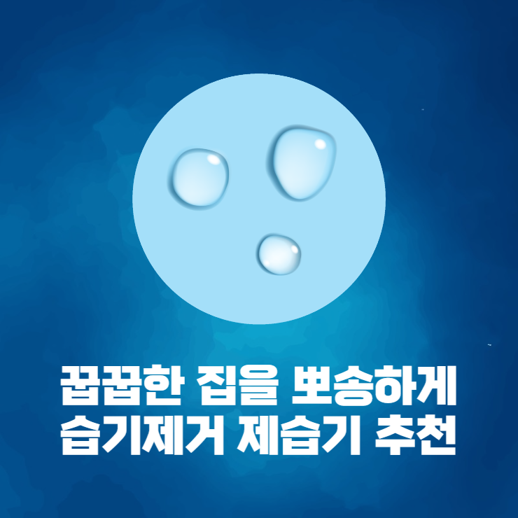  꿉꿉한 집을 뽀송하게 만들어줄 습기제거 박사 제습기 추천