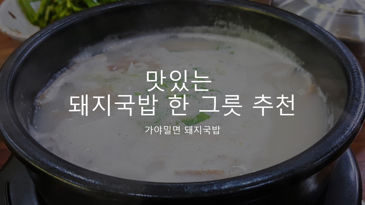 맛있는 돼지국밥이 생각날 때 추천하는 맛집 리뷰&후기 [가야밀면 돼지국밥/경기도 일산]