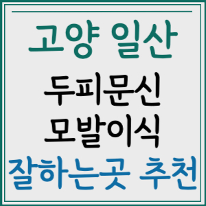 고양 일산 두피문신 모발이식