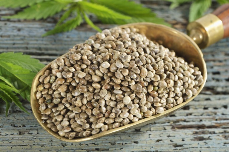 대마종자유의 효능 및 섭취방법 1