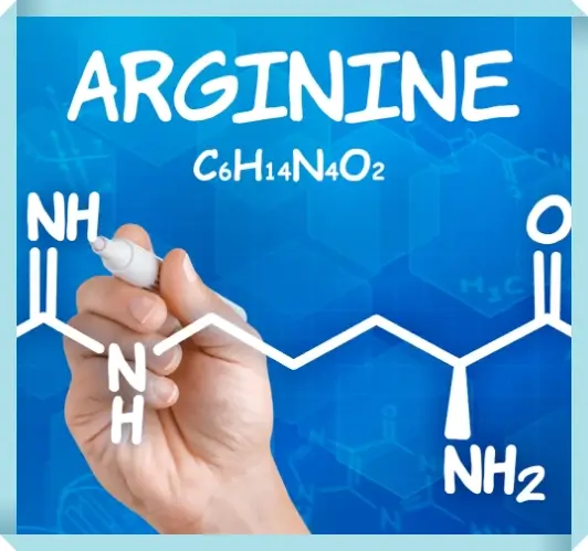 아르기닌 섭취량 조절 방법