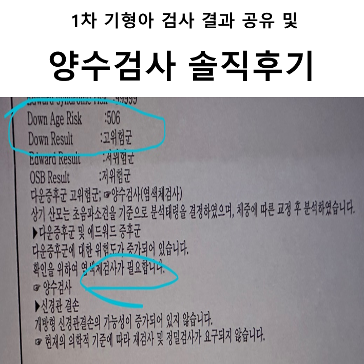  임신의 어려움 1차 기형아 검사 결과 공유 및 양수 검사 솔직후기