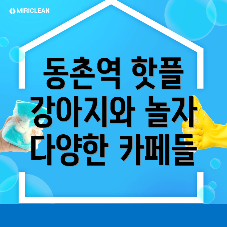 동촌역 강아지 카페
