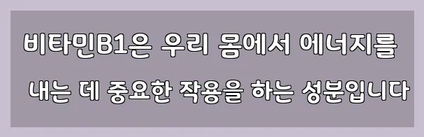  비타민B1은 우리 몸에서 에너지를 내는 데 중요한 작용을 하는 성분입니다