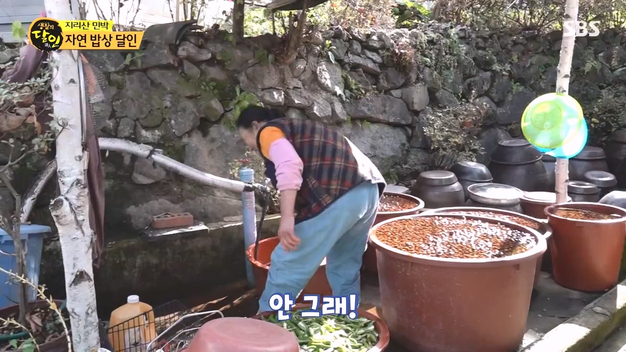 생활의 달인.E911.231114p-NEXT.mp4_20231114_201337.408.jpg