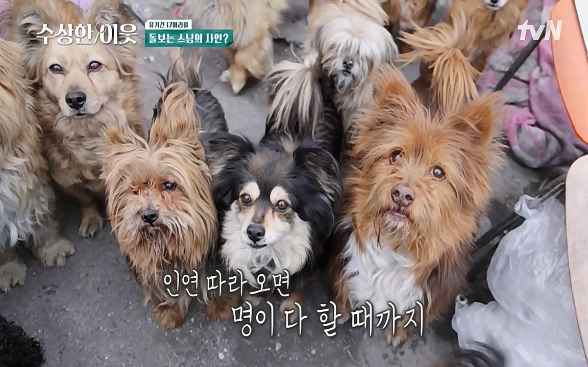 수상한 이웃.E04.220422p-NEXT.mp4_20220424_193050.455.jpg