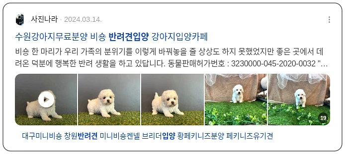 반려견 입양_3_subsection