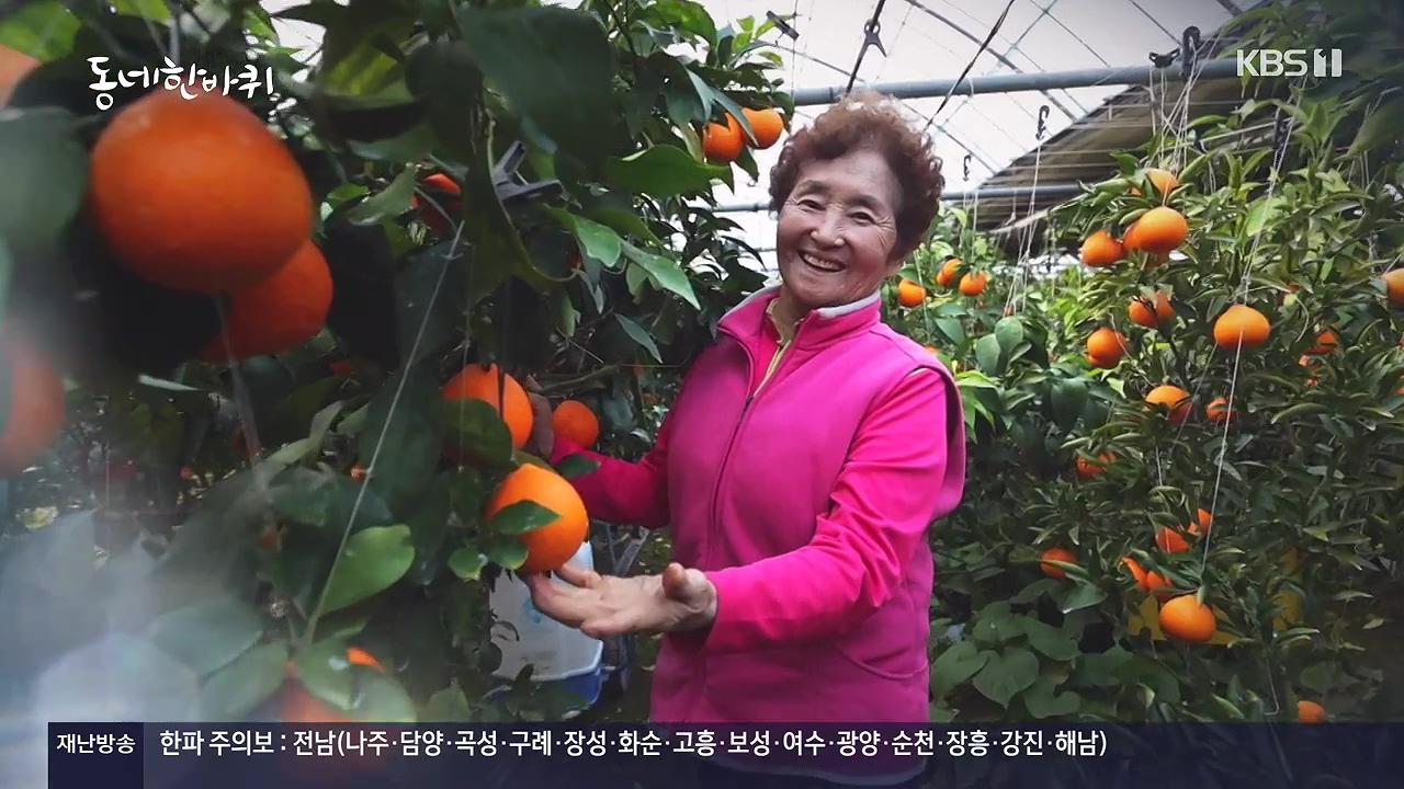 동네 한 바퀴.E252.231217p-NEXT.mp4_20231218_205531.606.jpg