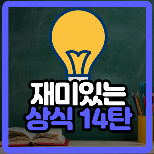  알면 재미있는 상식 14탄