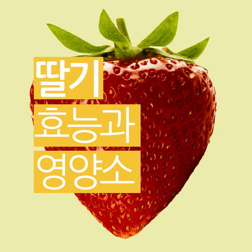  딸기 효능 , 칼로리 , 보관법 까지 알아보기