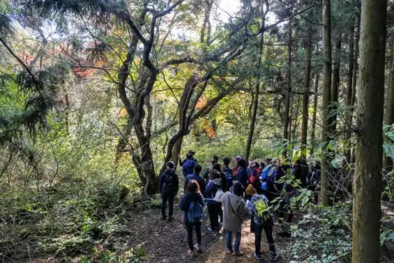 제구 거문오름길