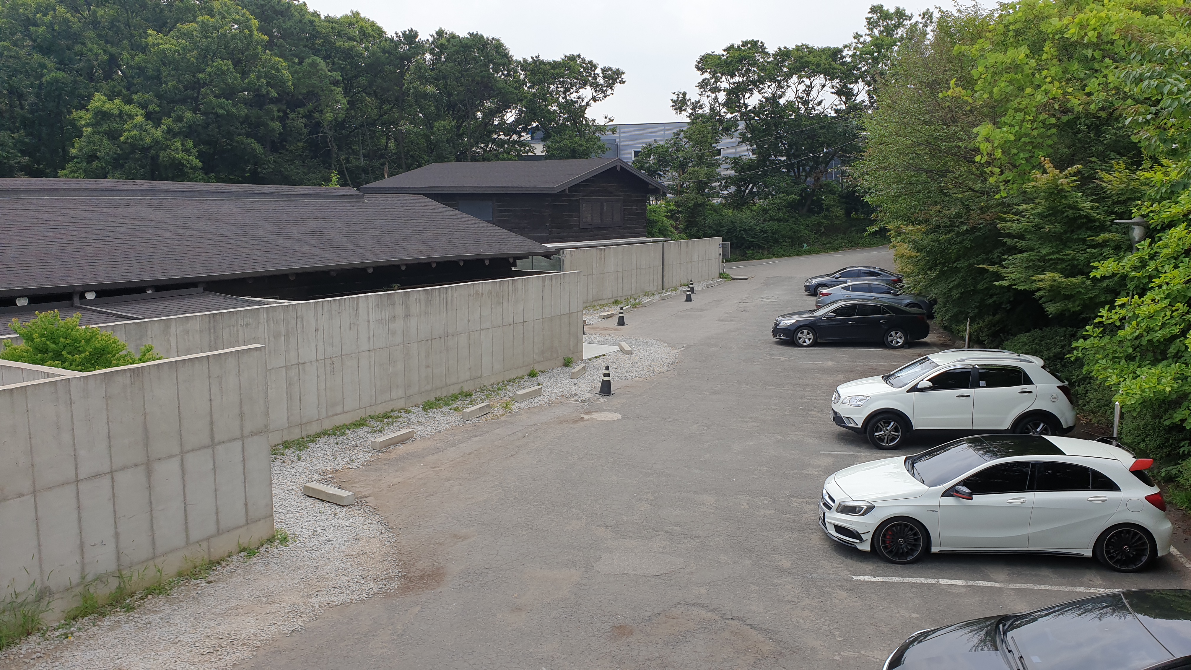  김포 카페 진정성  밀크티