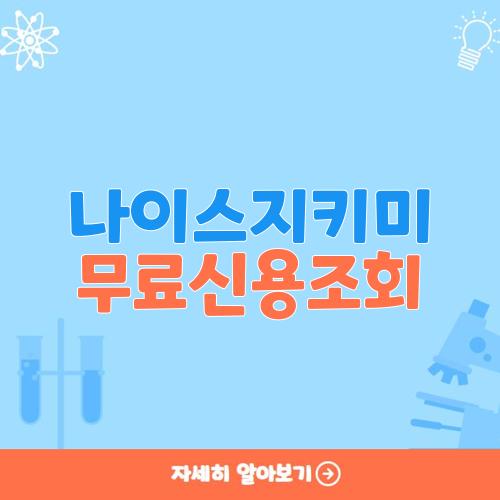 나이스지키미 무료신용조회