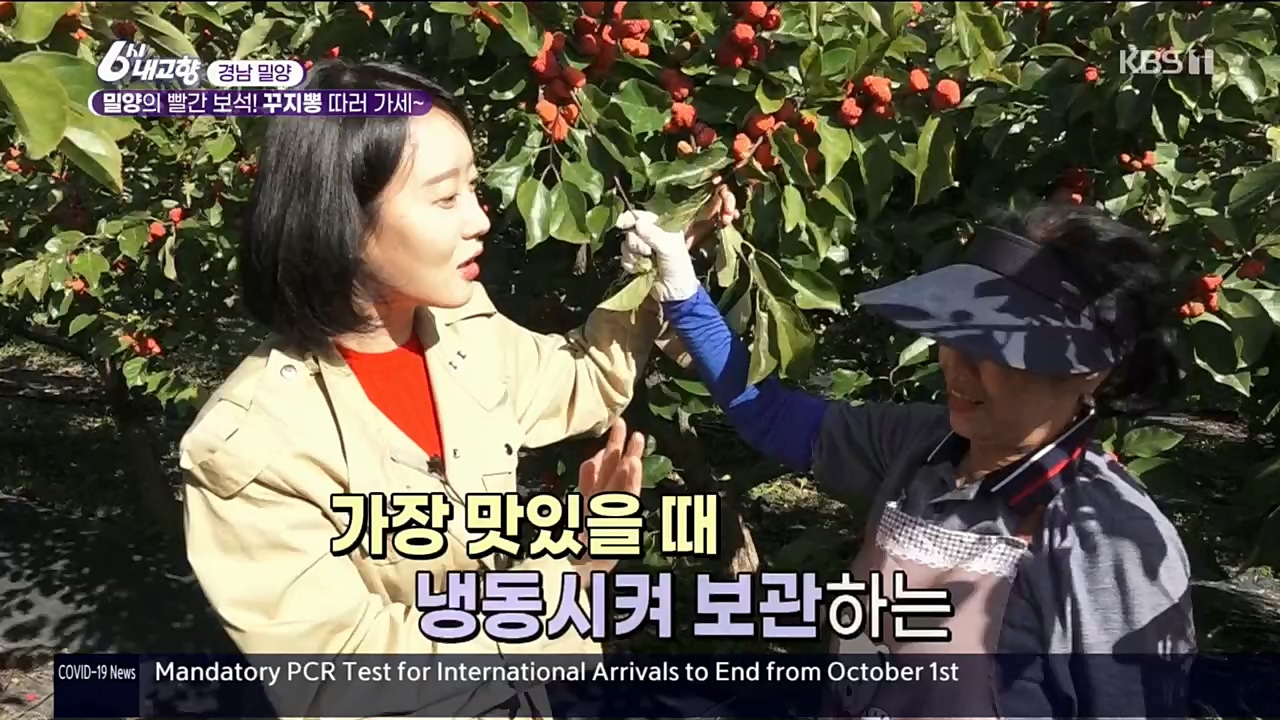 6시 내고향.E7640.221019p.H264-F1RST.mp4_20221020_170054.536.jpg