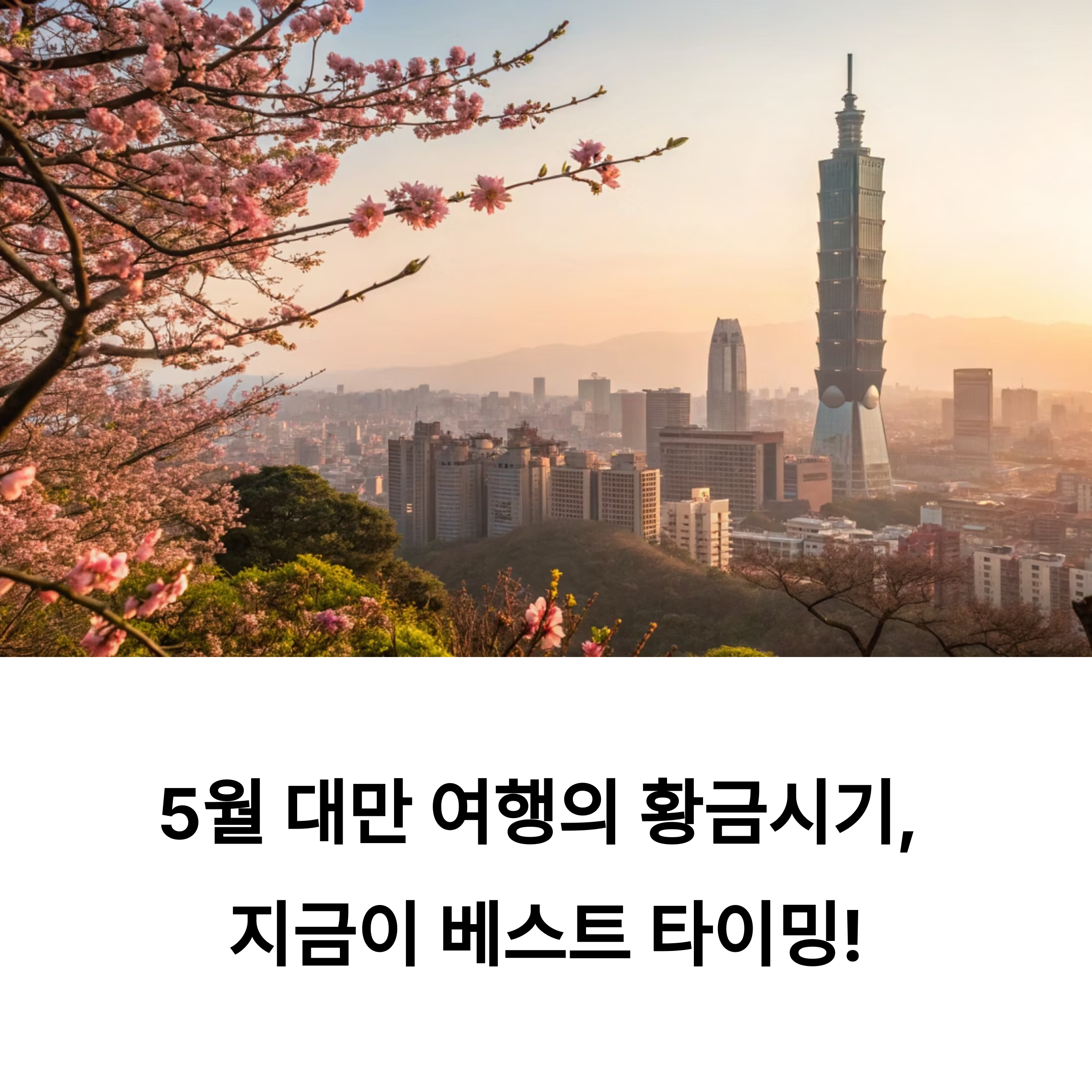 타이베이101 + MRT 패스 활용법