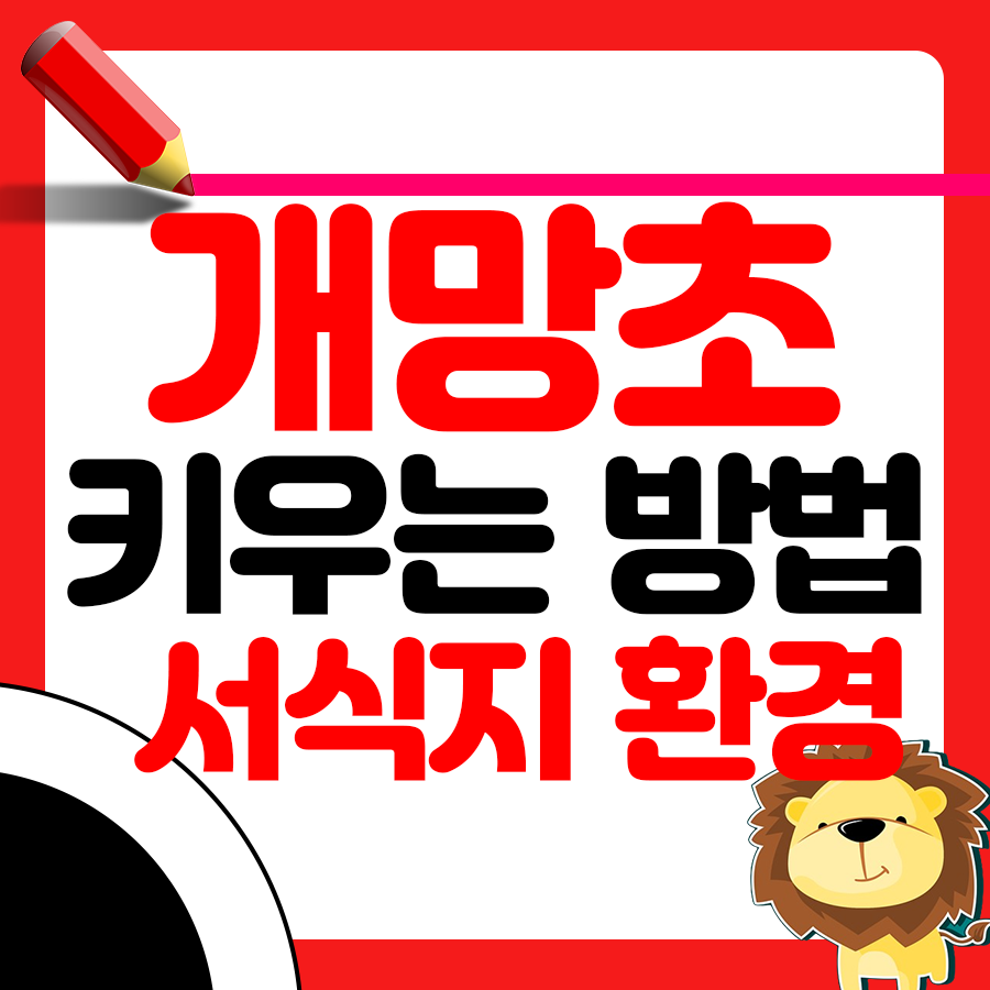 개망초 개화시기,키우는방법,서식지및적절한환경 1