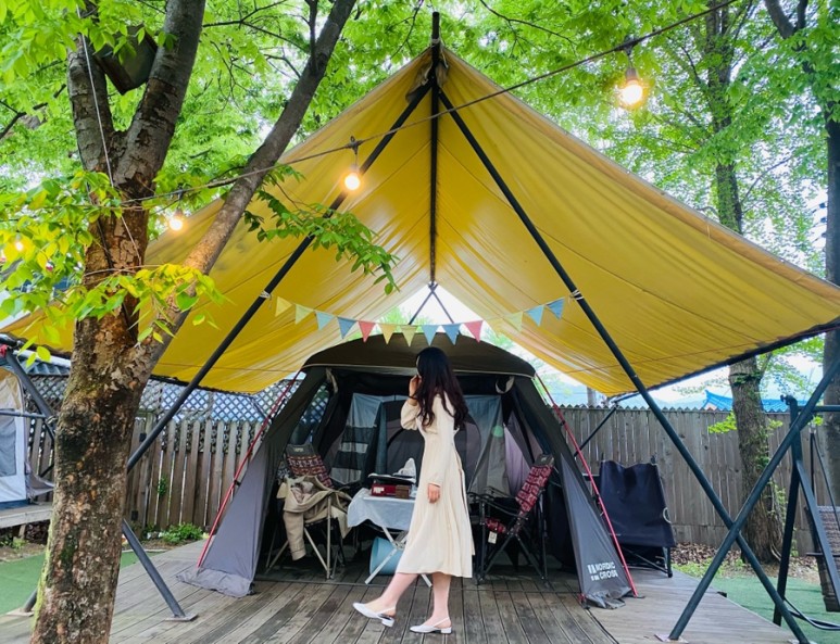 설맥 이미지