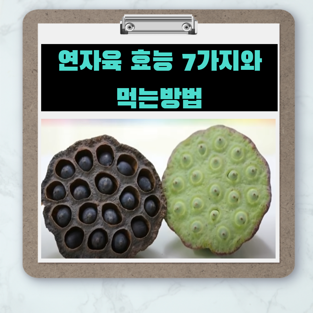 양귀비가 사랑한 식품 - 연자육 효능7가지와 및 먹는방법