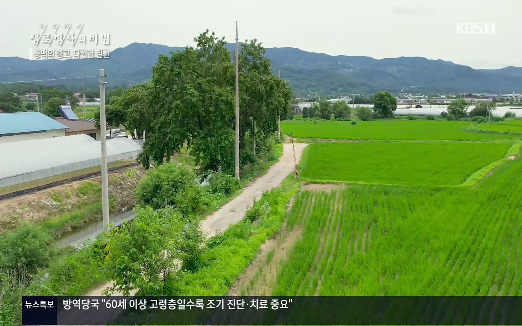 생로병사의 비밀.E831.220817p.H264-F1RST.mp4_20220822_185310.780.jpg