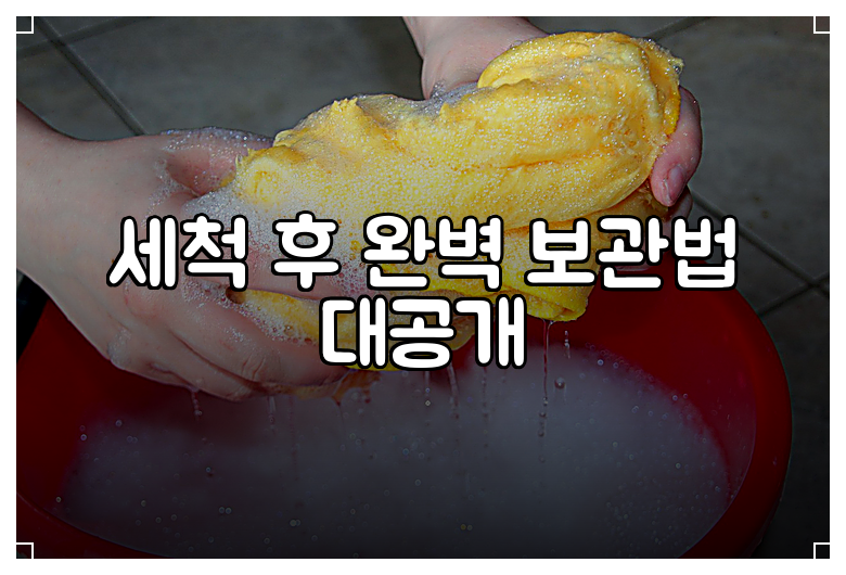 세척 후 완벽 보관법 대공개