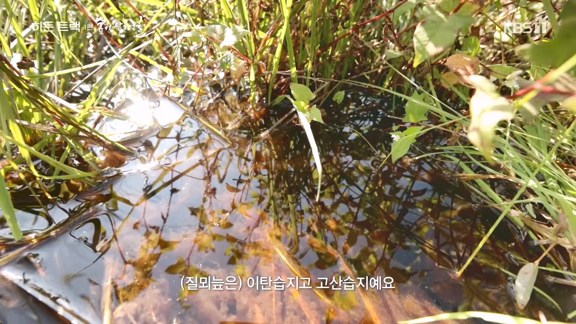 다큐 인사이트.E176.231214p.H264-F1RST.mp4_20231215_204523.791.jpg
