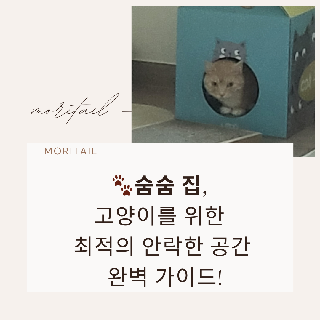 숨숨 집