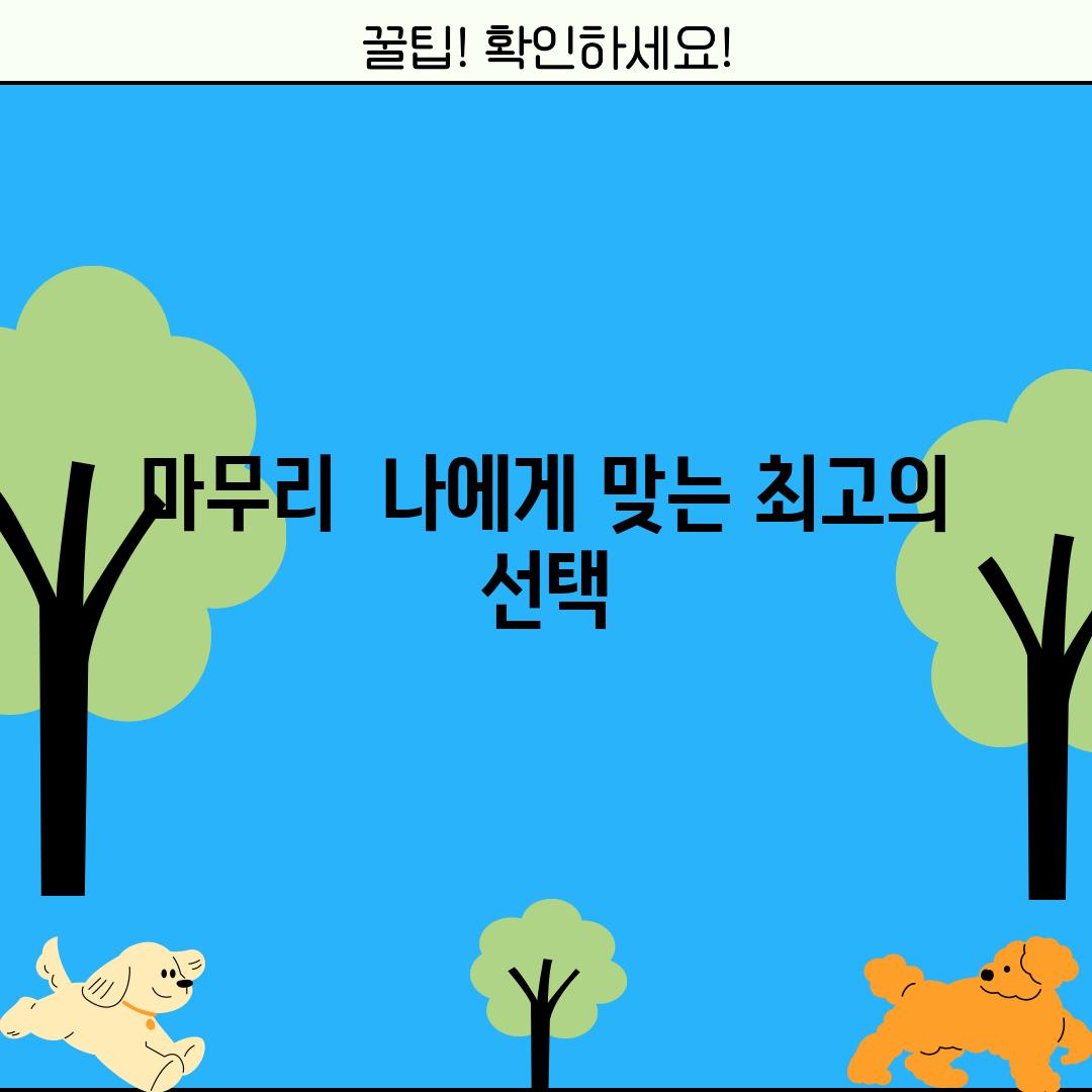 마무리:  나에게 맞는 최고의 선택