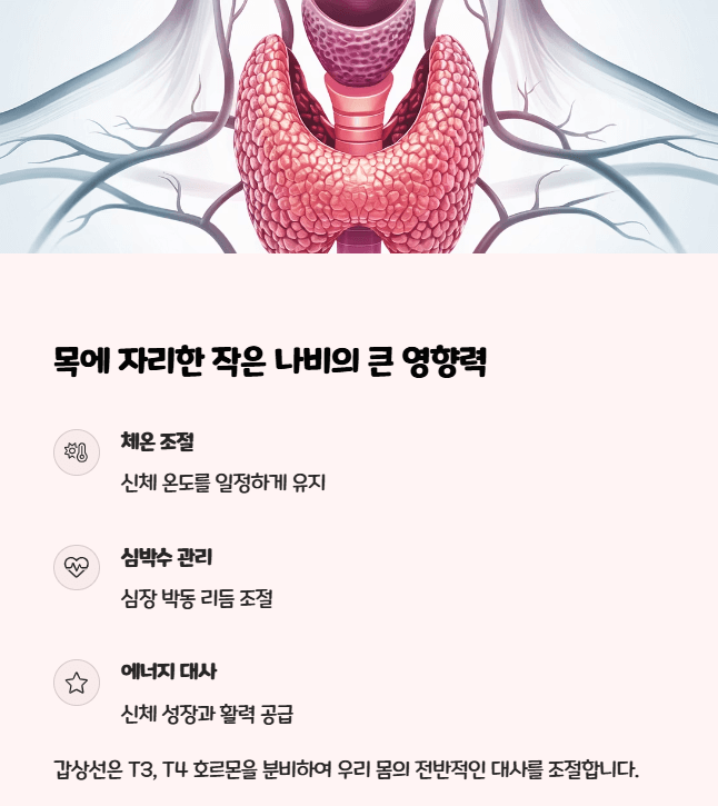 갑상선 기능 이상 자가진단