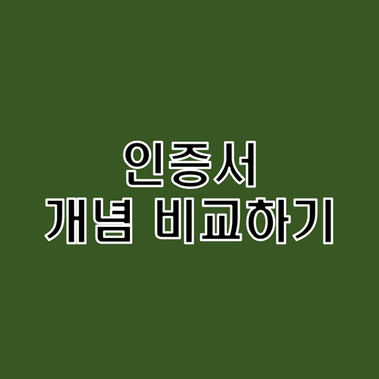  공인/공동/금융/개별 인증서 개념 정리하기