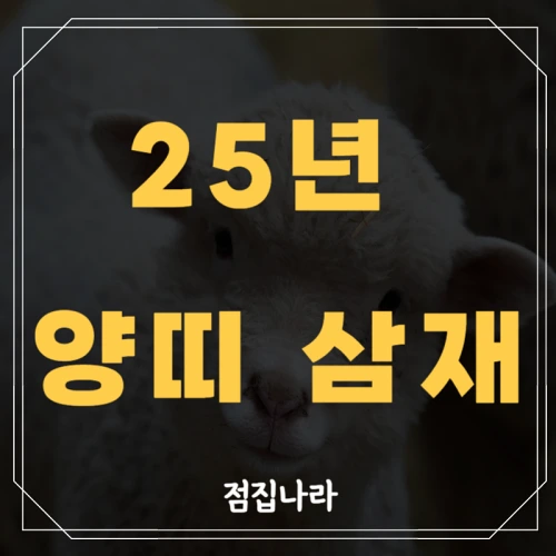 2025년 양띠 삼재 운세