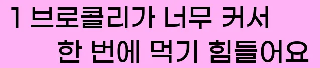  1 브로콜리가 너무 커서 한 번에 먹기 힘들어요