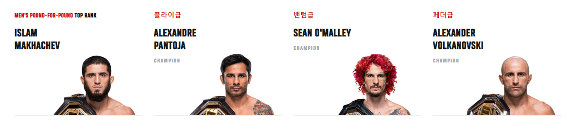 UFC 챔피언