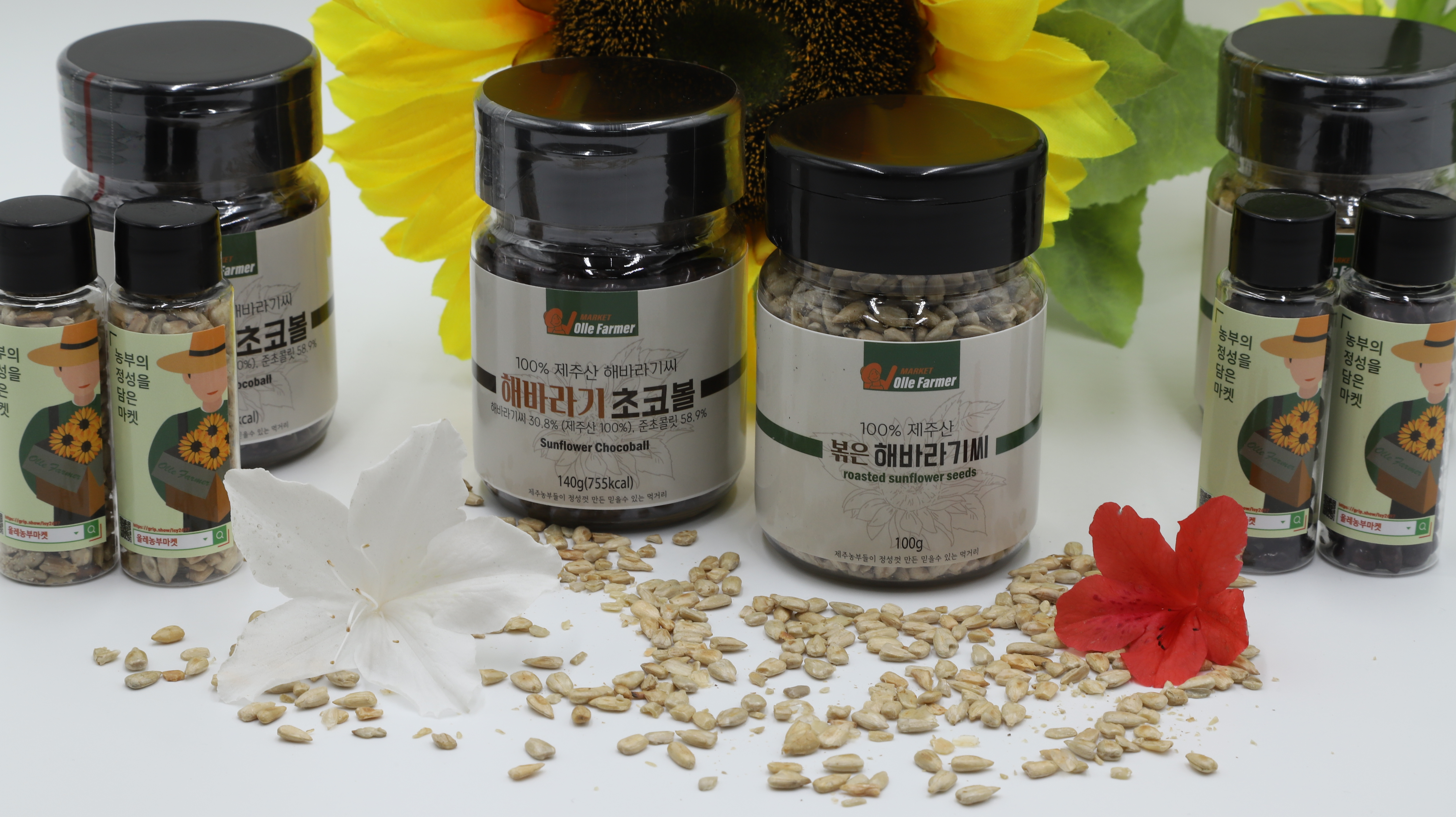  제주도 100% 국산해바라기씨 올레농부마켓 볶은해바라기씨 해바라기초코볼 판매