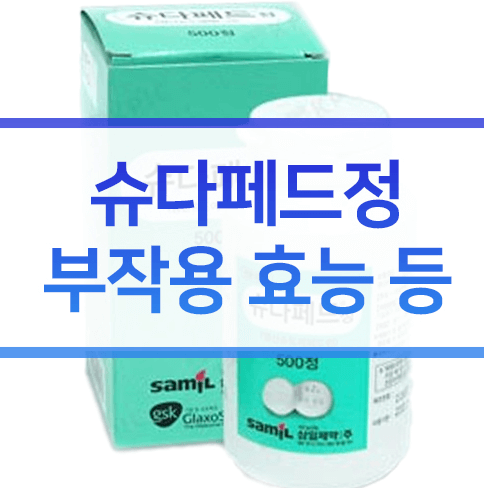  슈다페드정 약사들만 알고있는 핵심 요약정리!