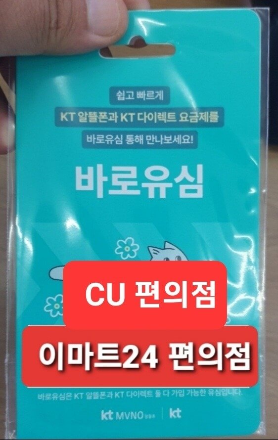 KT망 호환유심