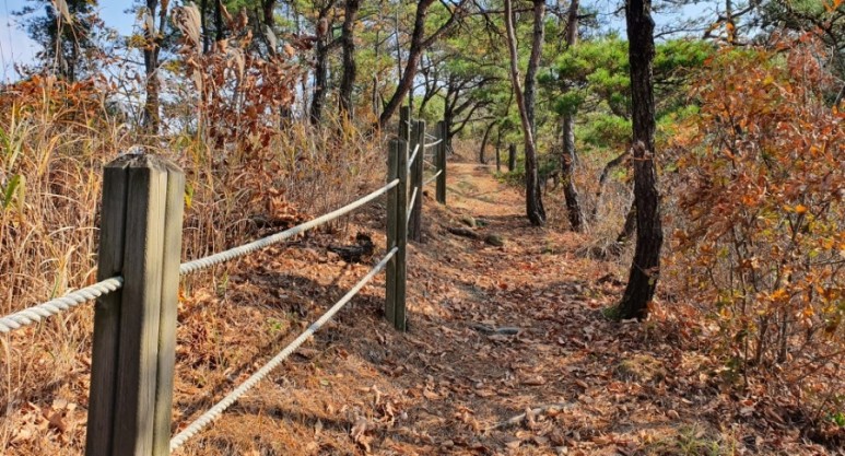 - 수덕사, 명상치유림길과 수암산의 가을 예산으로 볼거리, 단풍여행 7