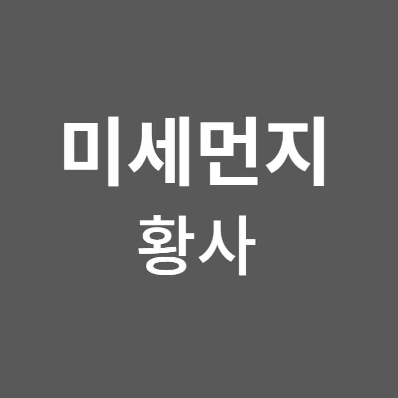 미세먼지(황사)가 치매유발