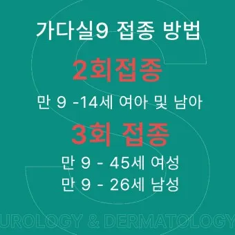 가다실 9가 접종 간격 나이 가격 효과_16
