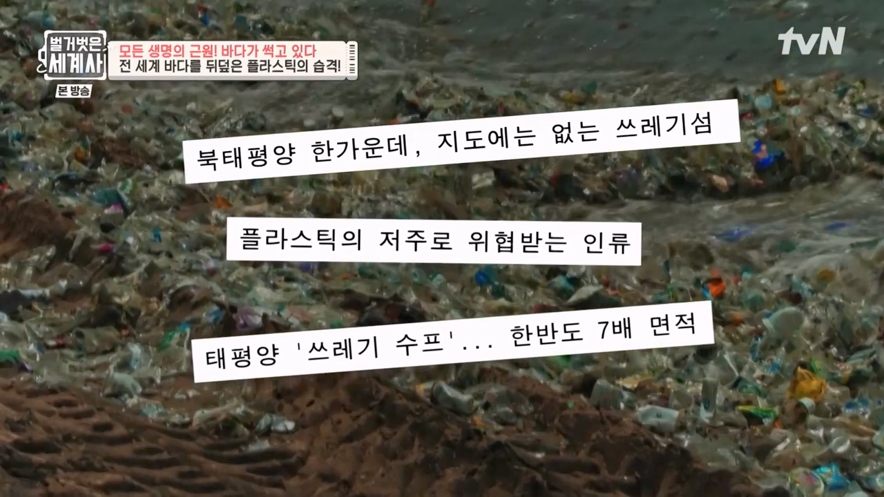 벌거벗은 세계사.E90.230315p-NEXT.mp4_20230419_204539.572.jpg