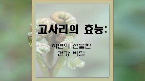 고사리의-효능