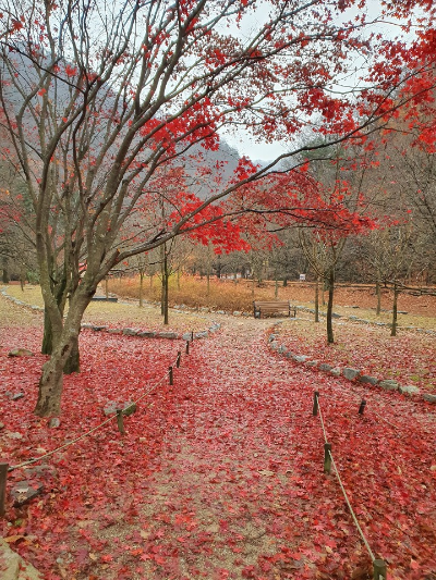 내장산 자연관찰로1