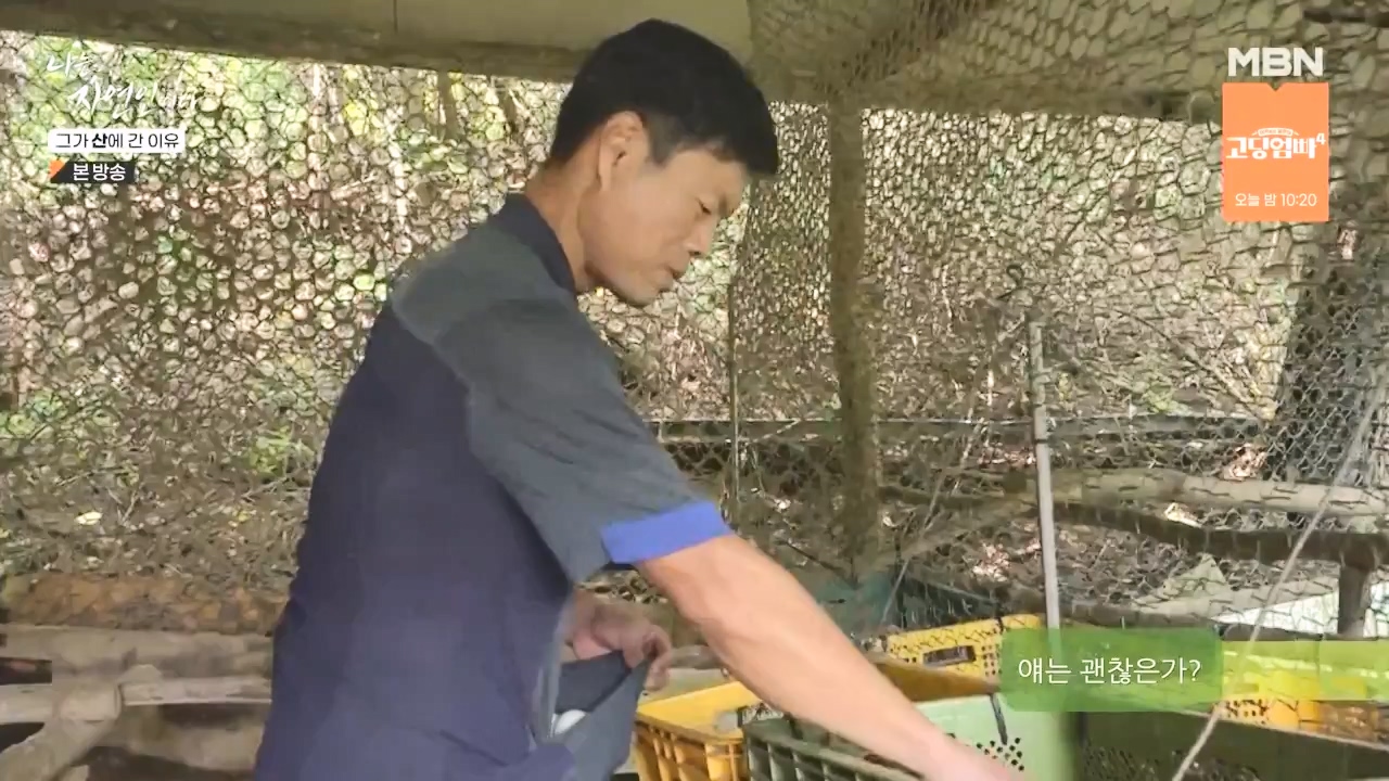 나는 자연인이다.E575.231012p-NEXT.mp4_20231012_200959.496.jpg