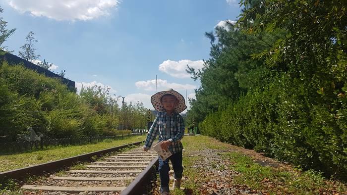 푸른수목원 철길을 따라 걷고 있다. 